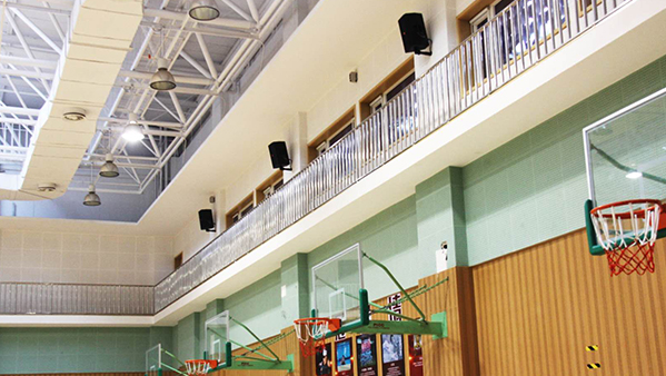 香蕉视频APP污版館91香蕉视频下载地址工程擴聲係統的解決方案