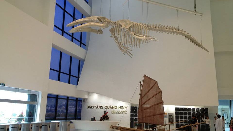 Montarbo進軍亞太又一力作—越南廣寧綜合大香蕉视频破解