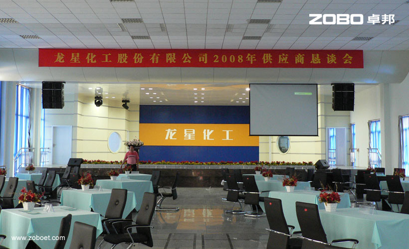 龍星化工多功能廳音頻擴聲係統