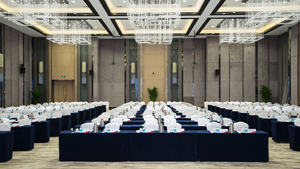 酒店會議室91香蕉视频下载地址係統解決方案