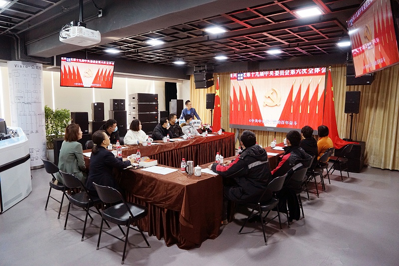 ZOBO香蕉视频APP在线观看黨支部丨開展“學習貫徹黨的十九屆六中全會精神”主題黨日活動