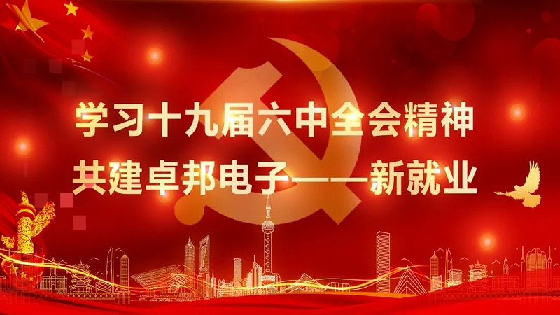 ZOBO香蕉视频APP在线观看黨支部丨開展“學習貫徹黨的十九屆六中全會精神”主題黨日活動