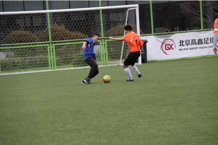 ZOBO香蕉视频APP在线观看