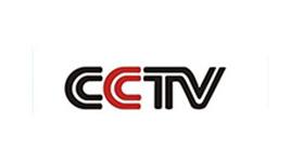 衛視CCTV