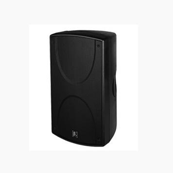 S1200B 雙12英寸低頻揚聲器係統 S1200B 雙12英寸低頻揚聲器係統