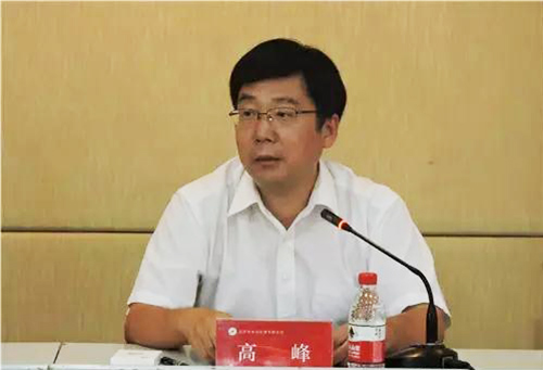 高峰副區長講話