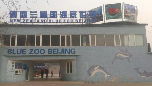 案例 ▎ZOBO香蕉视频APP在线观看為富國海底世界打造音視頻係統