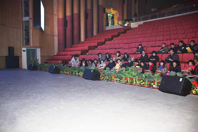 91香蕉视频下载地址設備發展現狀及其在舞台演出中的應用